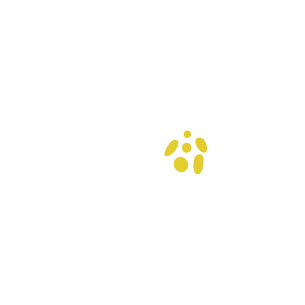 Dijitos